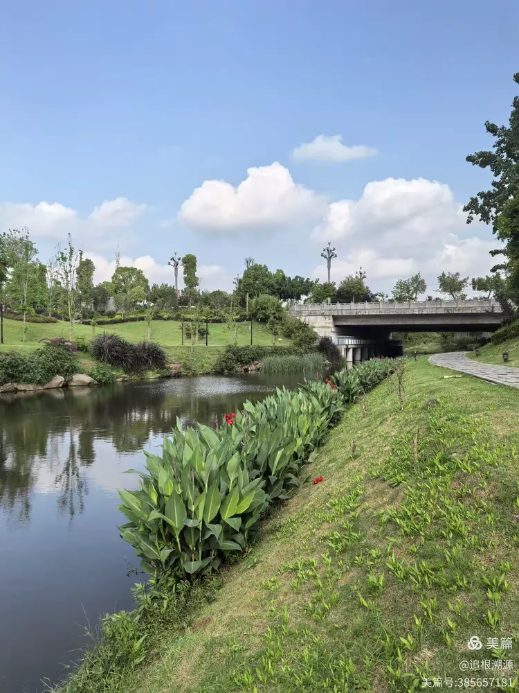 美丽的玉带河公园